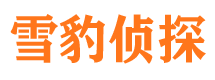 莱芜市私家侦探